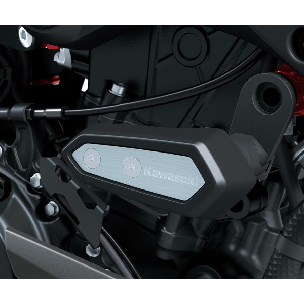 Kawasaki Frame sliders